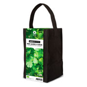 Kit de Cultura Ervas Aromticas - Coentro